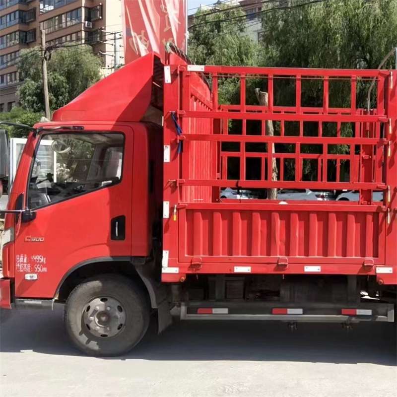长安区雅安市物流专线：大件出口快运的多维探索